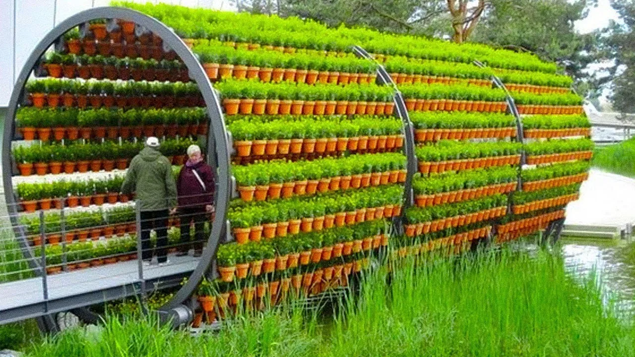 Hydroponic plant system